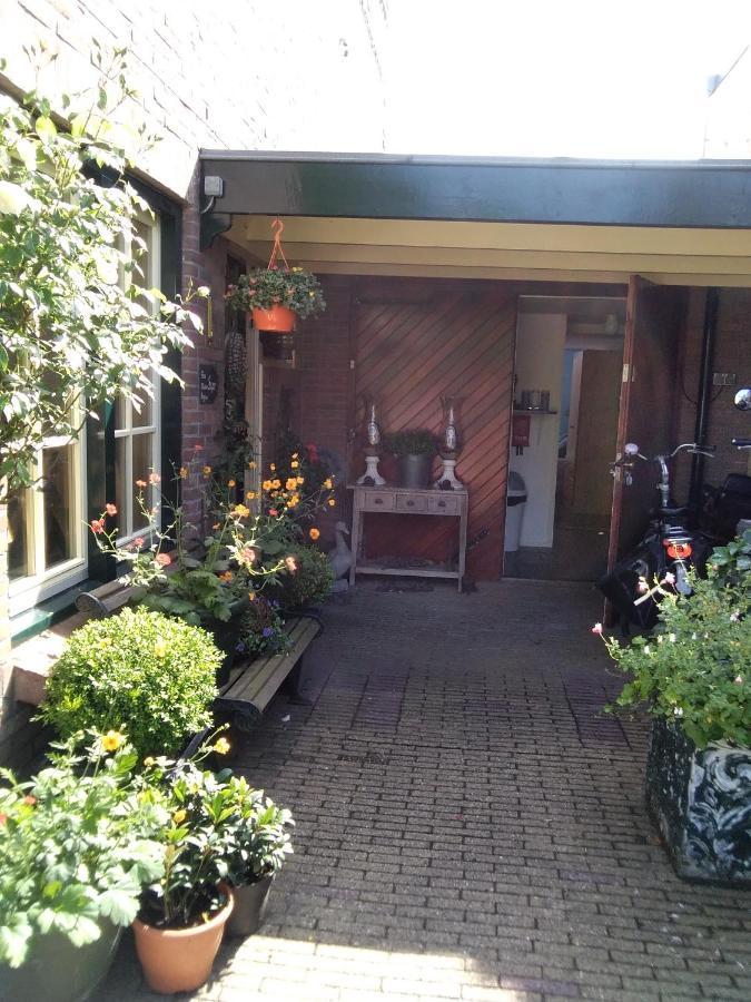 Studio Casa Super Zandvoort Eksteriør billede