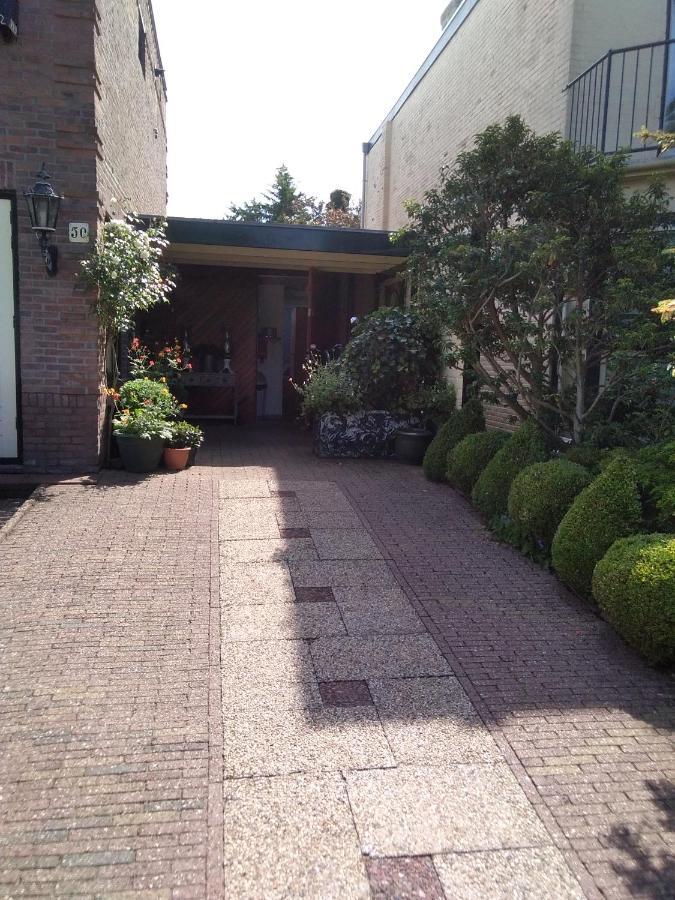 Studio Casa Super Zandvoort Eksteriør billede